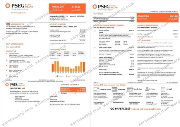 USA New Jersey PSEG electricity utility bill template in Word and PDF format, 2 pages